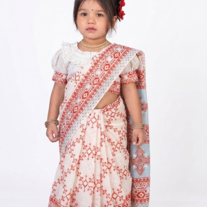 স্কিন প্রিন্ট রেডি শাড়ী (Code 258)